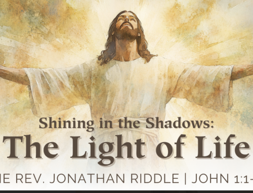 Shinning in the Shadows: The Light of Life